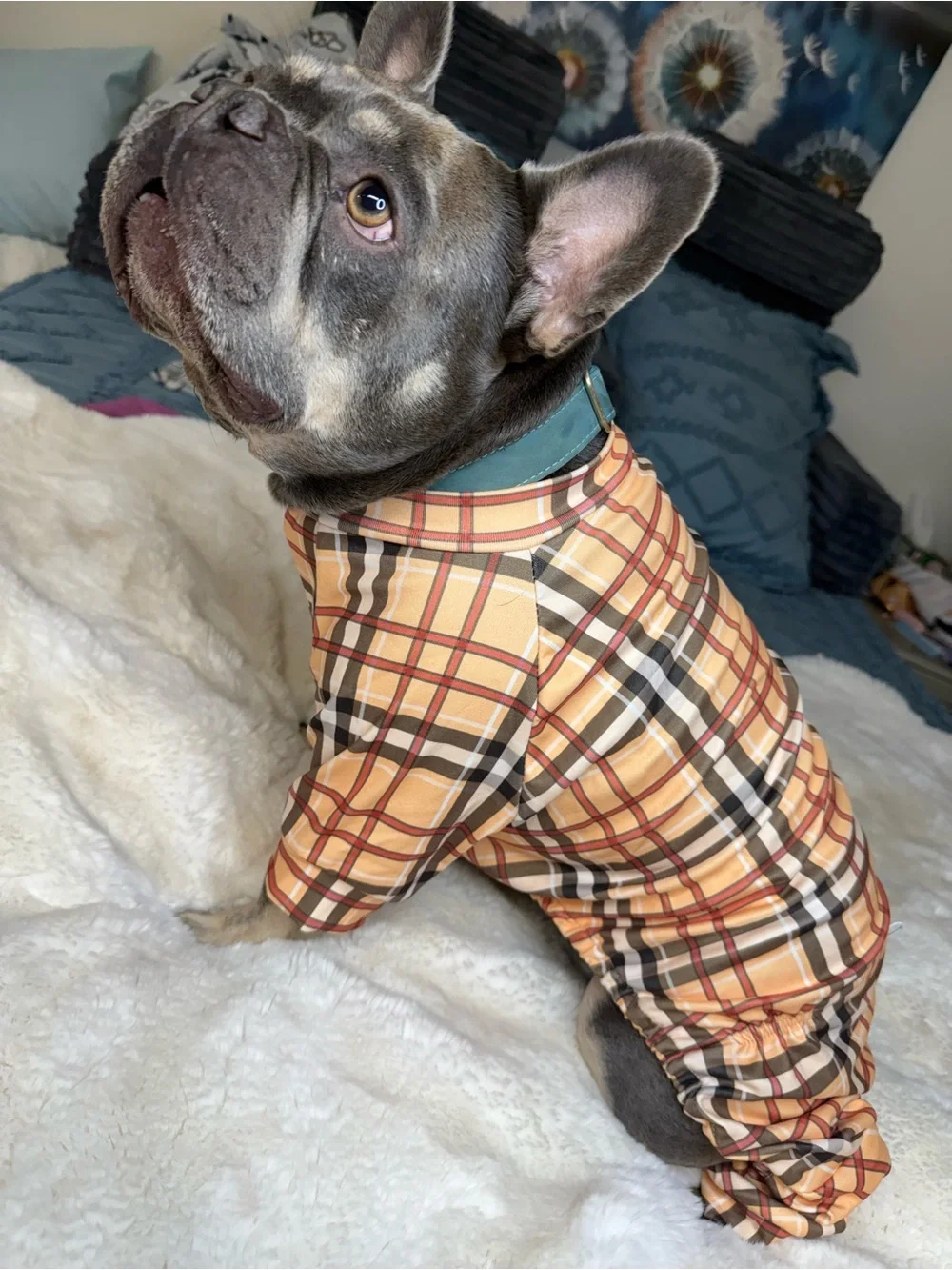 Plaid Dog Pajamas- Tan & Brown